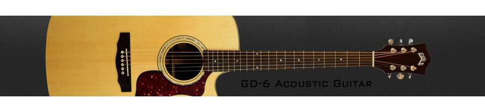 GD-6 Acoustic Guitar